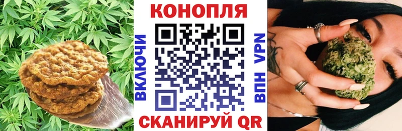где можно купить наркотик  Моздок  Cannafood конопля 