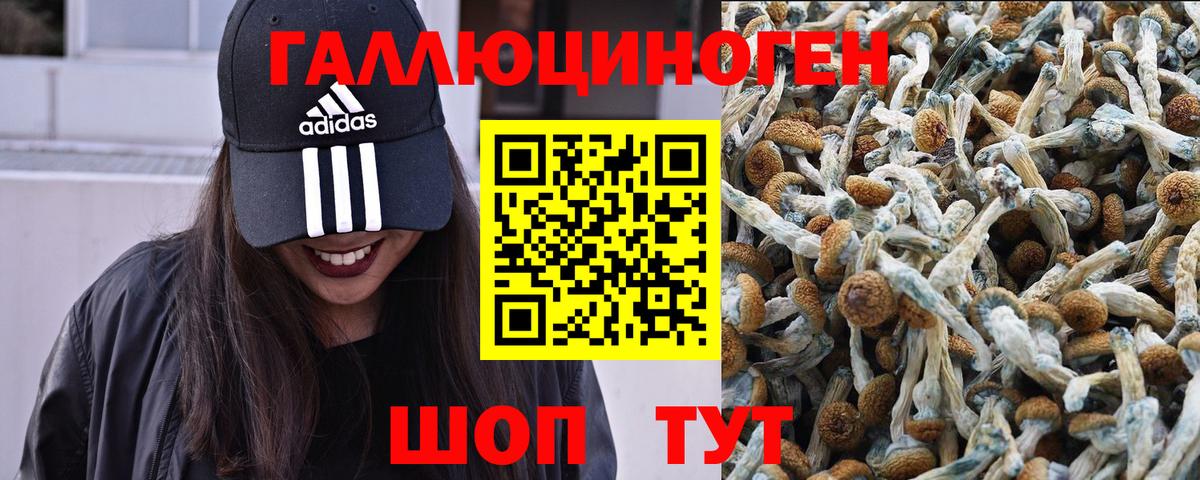 Моздок  Галлюциногенные грибы Cubensis  Псилоцибиновые грибы ЛСД  Вход с VPN 
